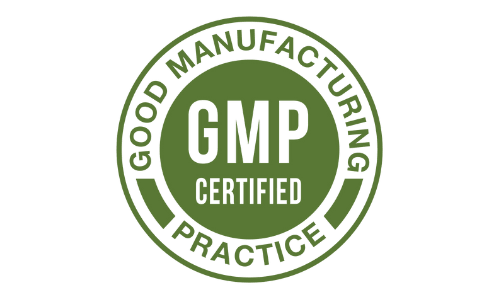 Java Brain GMP